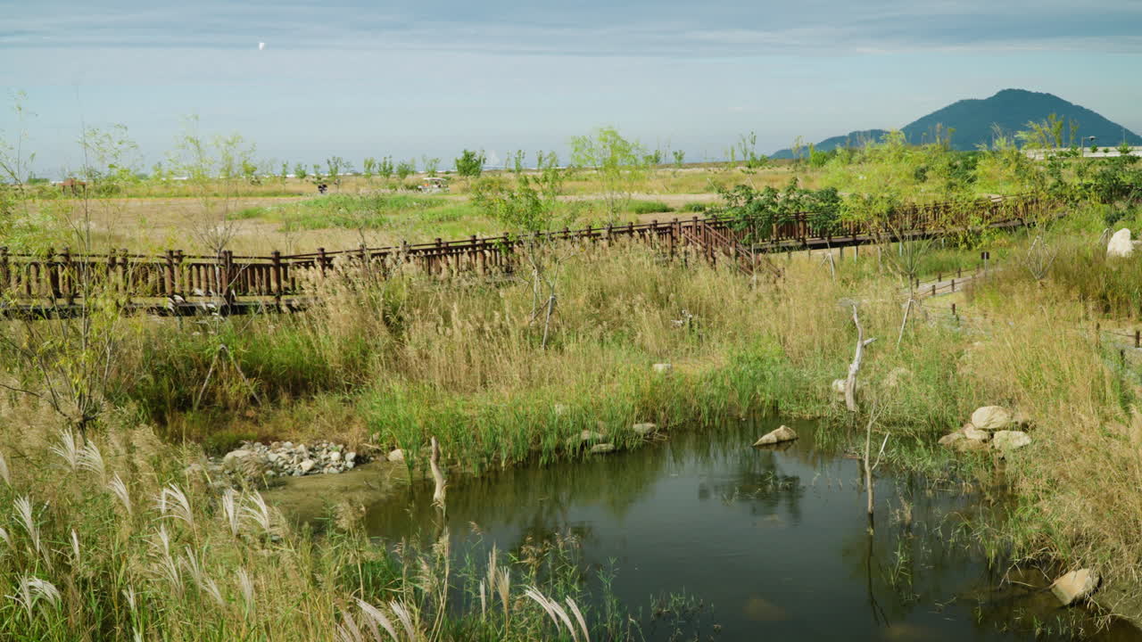 사만 환경 생태 복합 시설 - 한국 국립 공원의 야생 들판을 가로질러 나무로 된 산책로와 작은 호수.