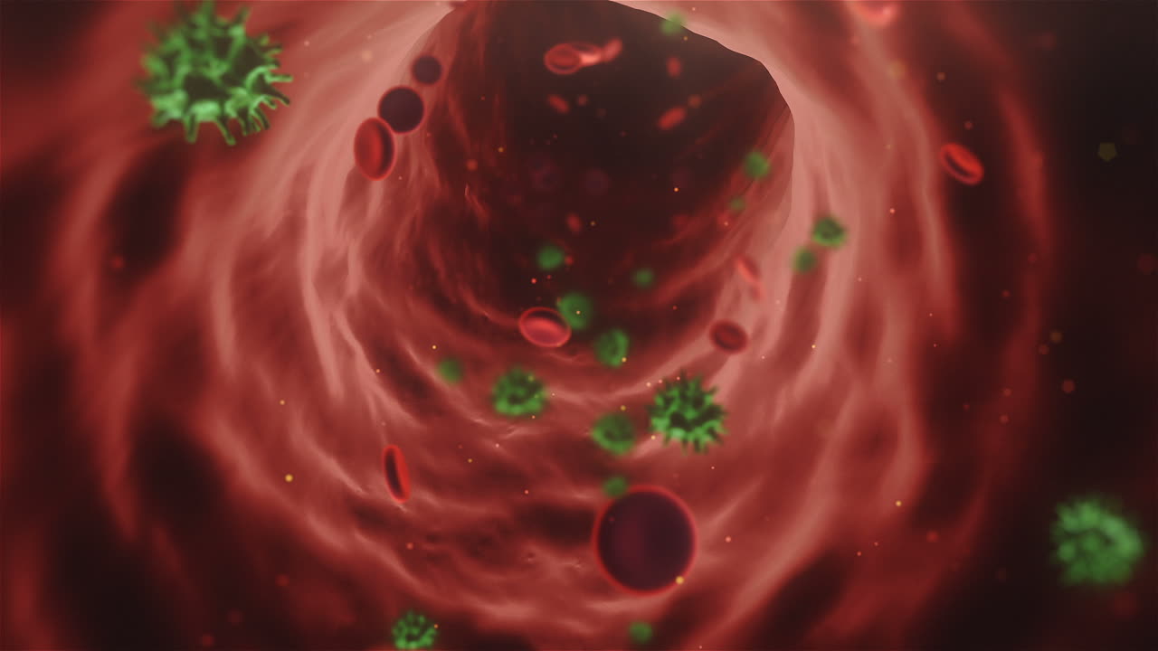 3D Animation of Viruses and Red Blood Cells Flowing in a Blood Vessel ...
