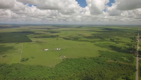 toma aérea de una sabana verde y un grupo de árboles con hermosas nubes dispersas en el cielo
