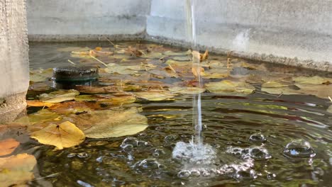 Spritzendes-Wasser-Eines-Natürlichen-Brunnens-An-Einem-Sonnigen-Tag-Im-Herbst