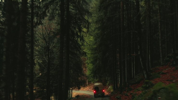 Forest Road Adventure