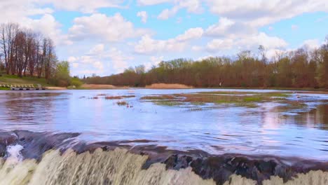 salmon spawning upstream leap in venta rapid waterfall, latvia, aerial dolly in