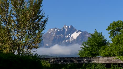 árboles-Coloridos-En-Temporada-De-Verano-Y-Gigantesca-Cordillera-Con-Nieve-Contra-El-Cielo-Azul