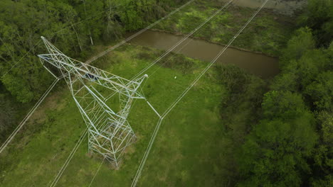 pilares de electricidad de alto voltaje en el bosque de william b