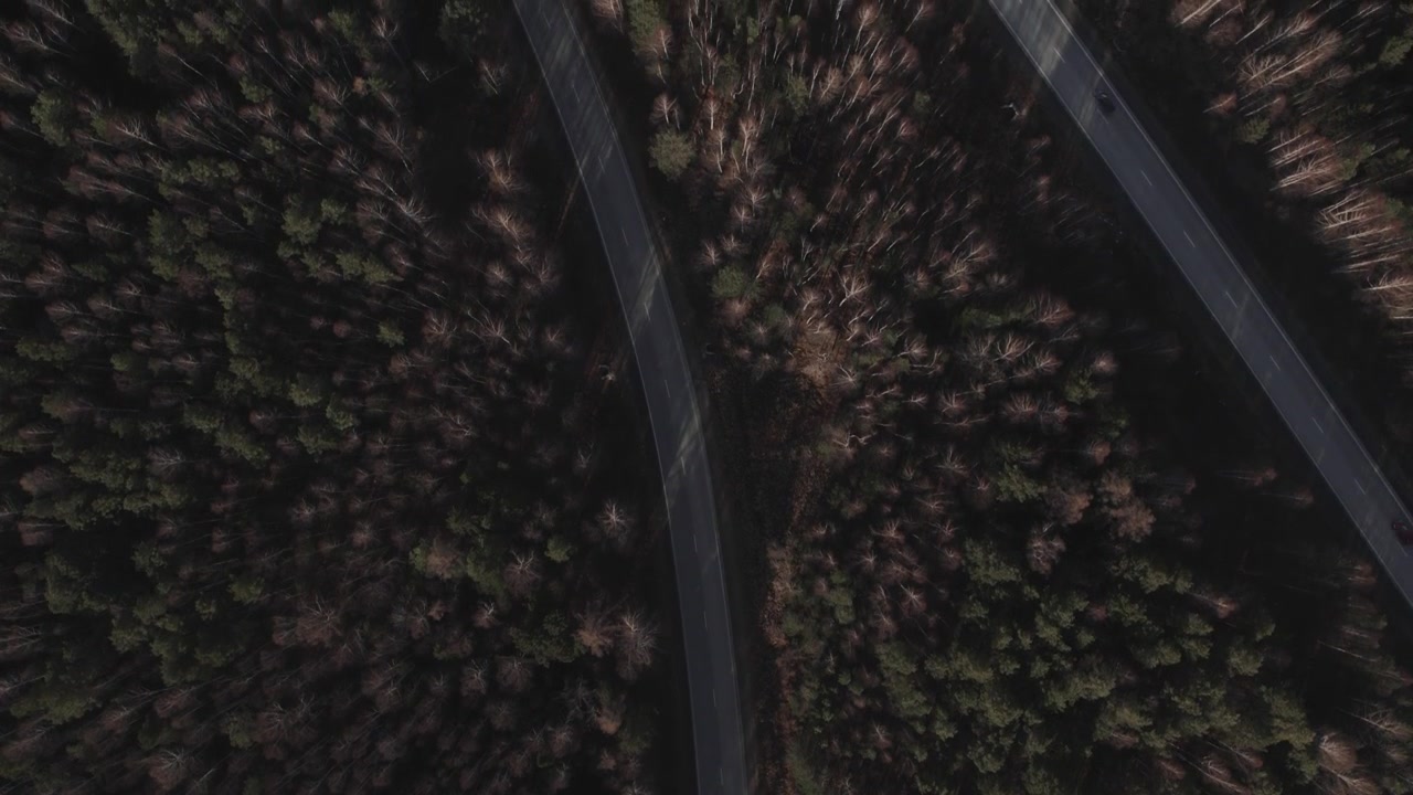 Autostrada tortuosa attraverso la fitta foresta degli Urali in un vibrante autunno vista dall'alto