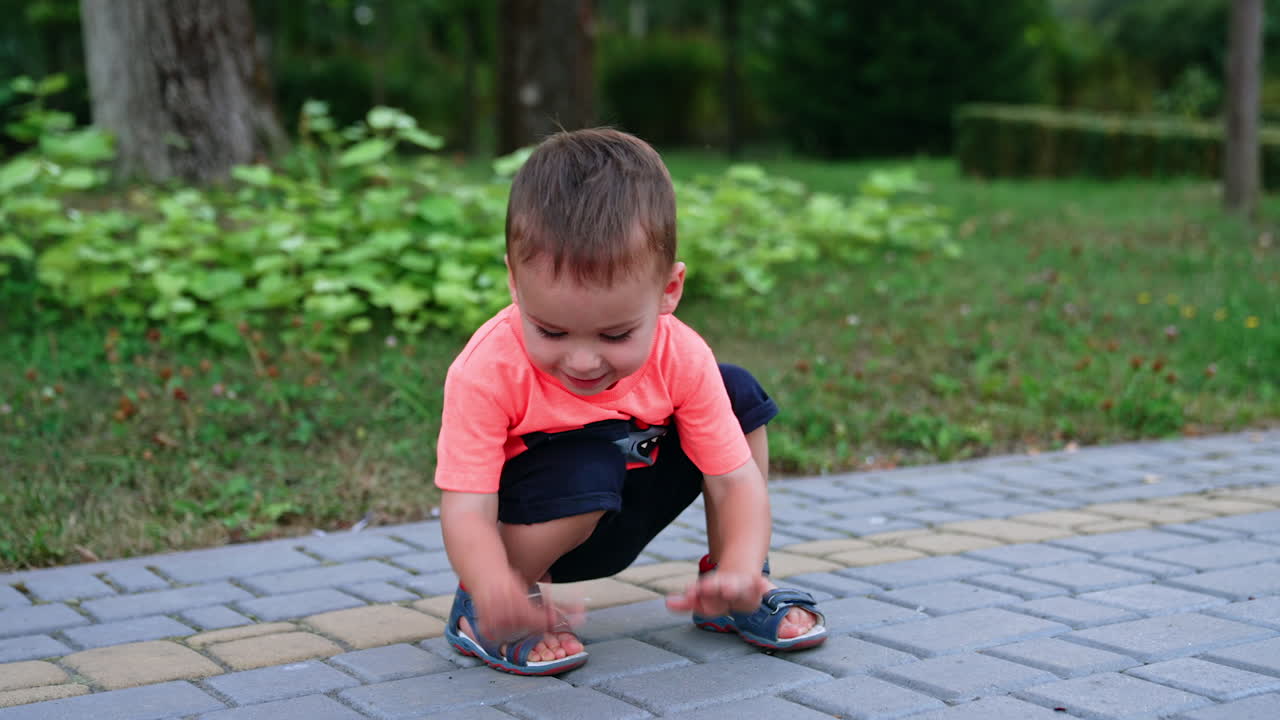 Cute active toddler playing outdoors. Little boy watches the insects clapping hands by the ground cheerfully.