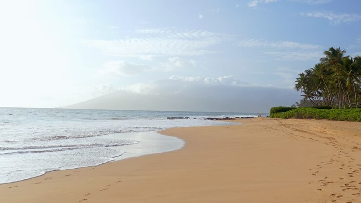 Une belle plage tropicale