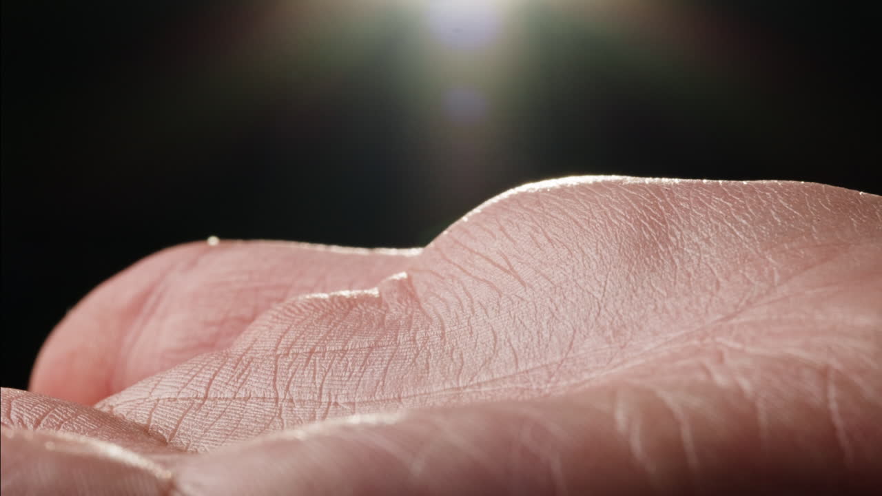 Close-up of a hand palm