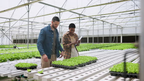 people, handshake and plants in greenhouse