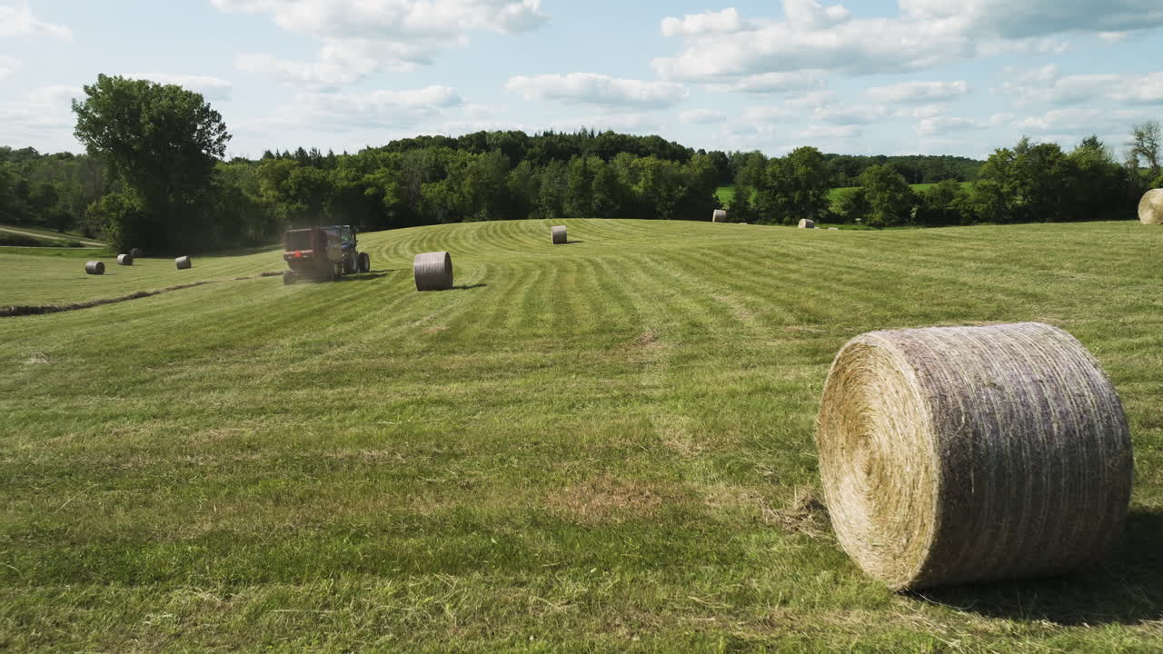 Beautiful harvest landscape with tractor on distance harvesting, many Hay bale