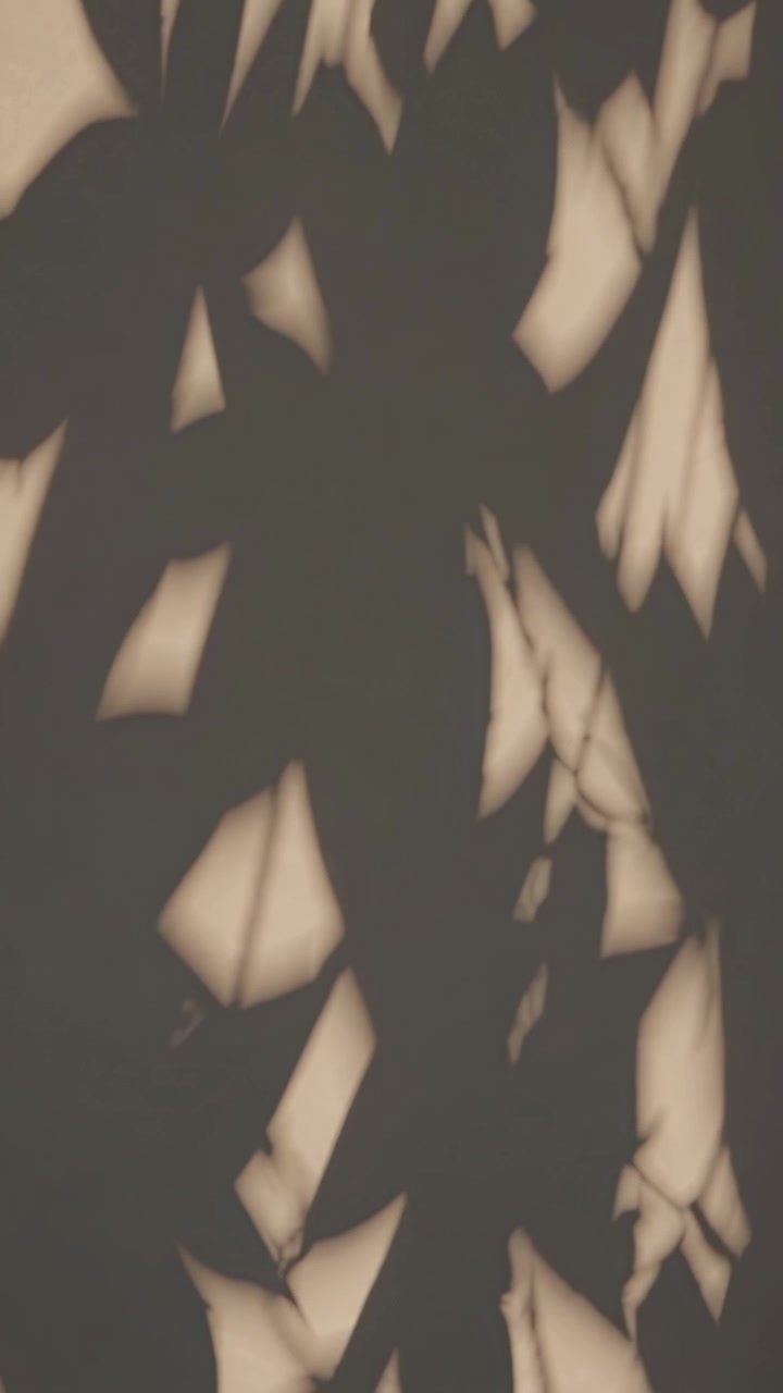 Moving Shadows of Tree Leaves on a Wall