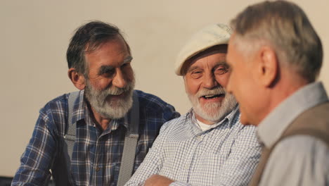 Portrait-Shot-Of-The-Three-Happy-Grandfathers-Spending-Their-Time-On-A-Bench,-Chatting-And-Laughing