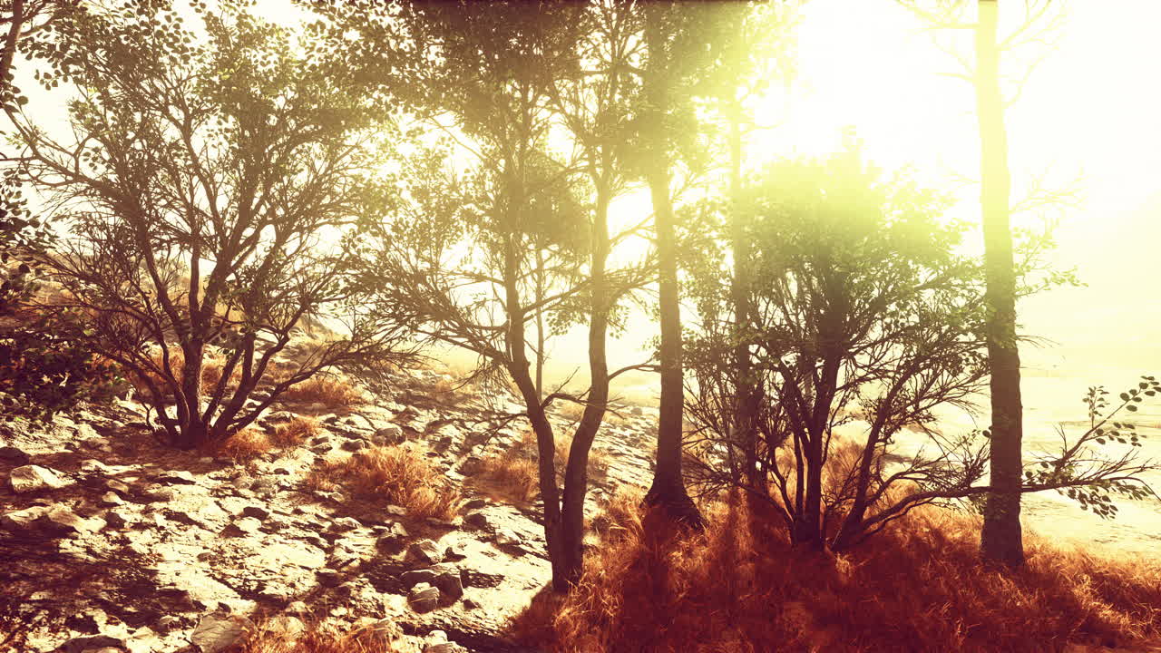 paisaje escénico con acantilados empinados y árboles durante un día soleado