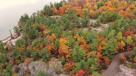 Orbital-aerial-view-above-a-amazing-colorful-autumn-forrest-during-fall-at-Killbear-provincial-park