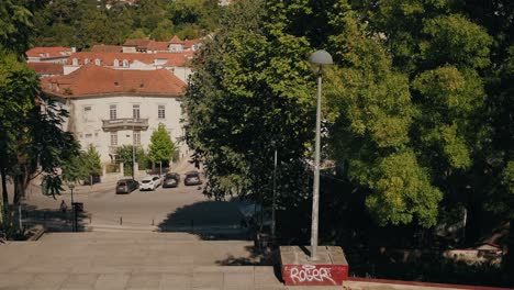 view of tree lined street with traditional buildings in coimbra, portugal