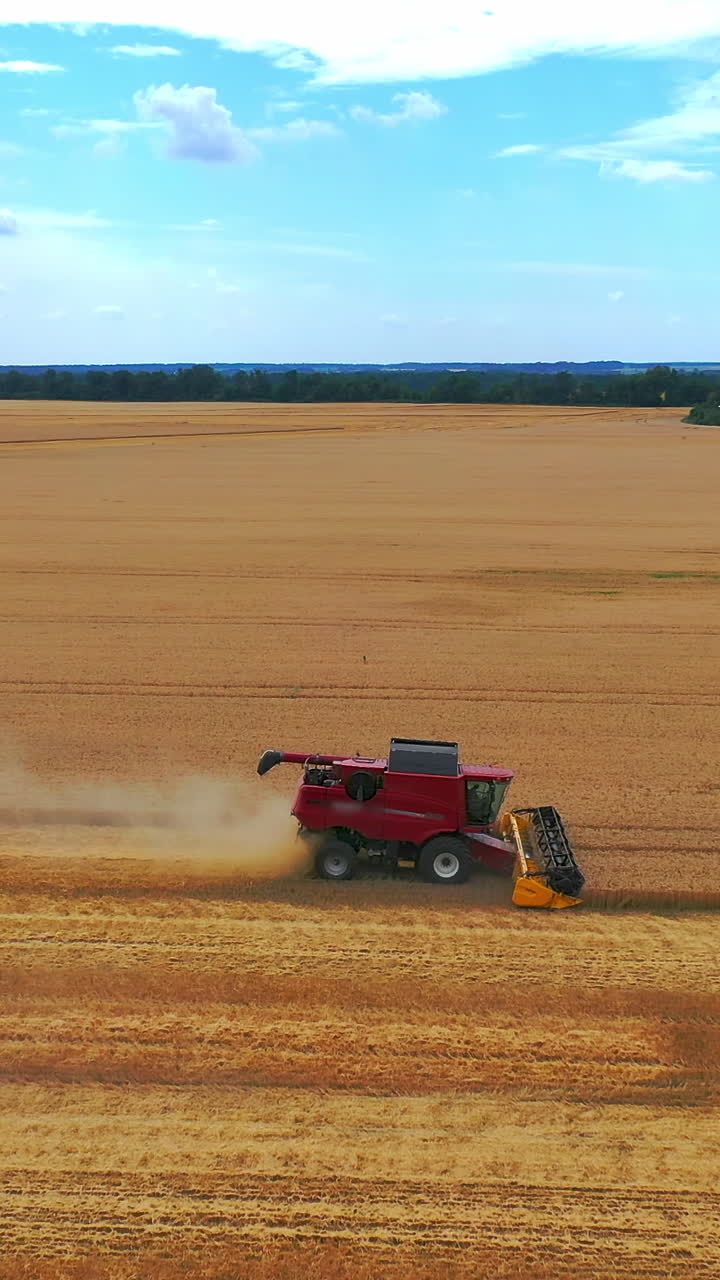 Agricultural machinery at seasonal works. Red combine harvester gathering ripe crop in the farmland in summer. Tractor with trailer full of grains moving on field. Vertical video