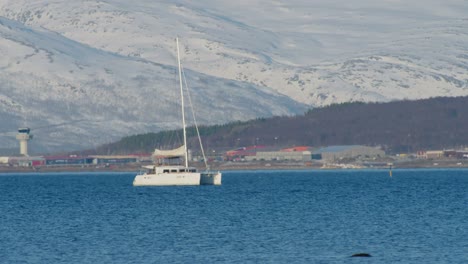 small-white-boat-sailing-along-the-fjord-in-northern-norway,-telephoto-shot-in-60fps-slow-motion,-camera-movement