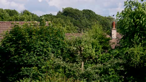 Verdant-English-Garden-and-Chimney-Tops