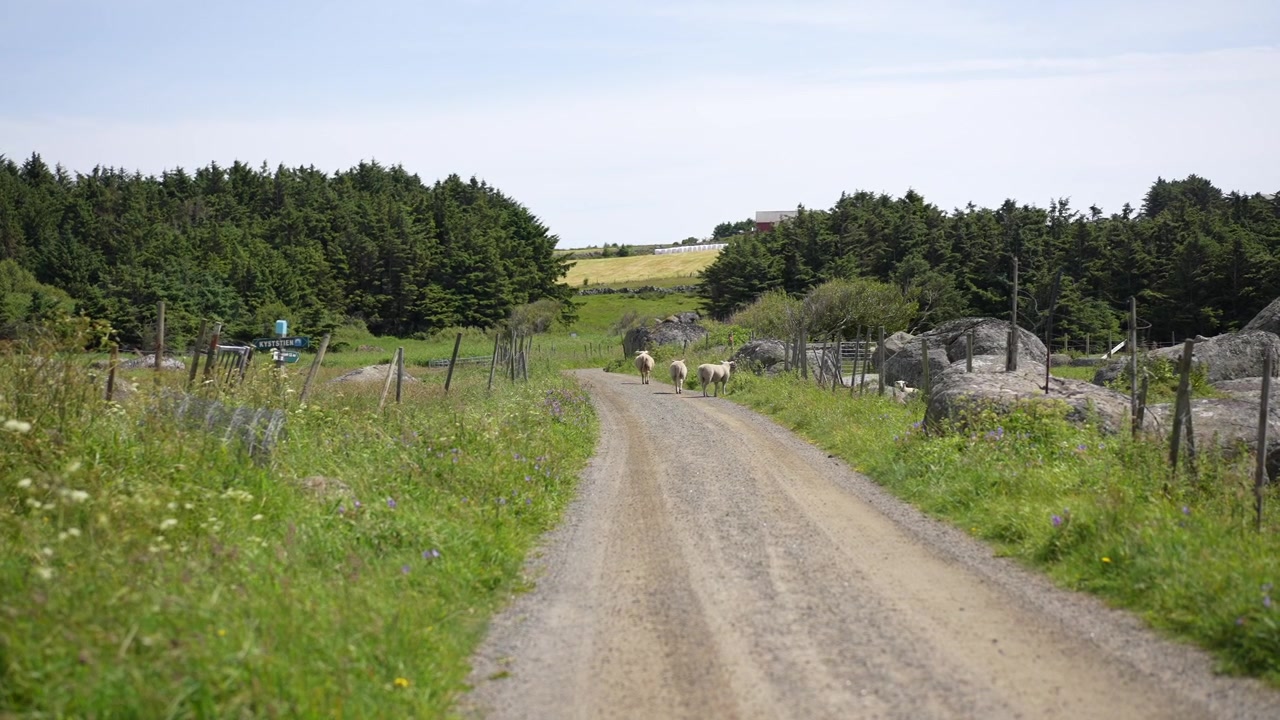 Dirt road through rural farmland at Stavstø Farsund Norway in slow motion
