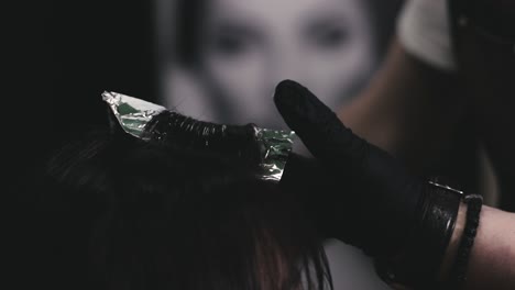 hair stylist applying dye on woman hair in a professional hair salon