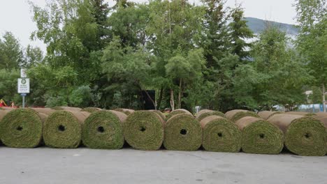 rollos de hierba césped amplio estático rockies banff alberta canadá