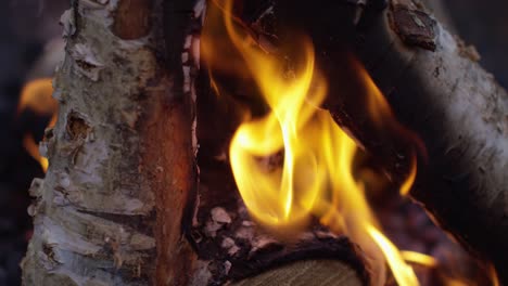 Burning-Logs-Slow-Motion-4K-12