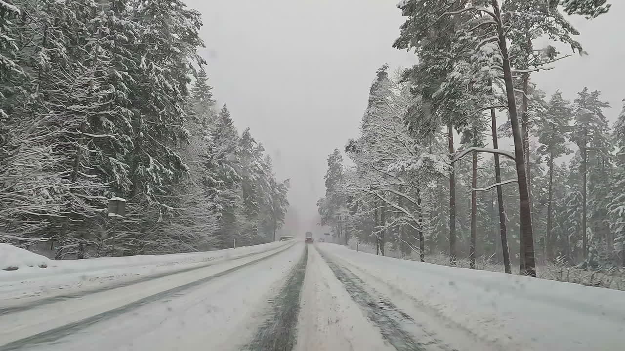 추운 겨울날 침엽수림으로 둘러싸인 아름다운 눈 덮인 도로를 운전하는 동안 앞유리 전망
