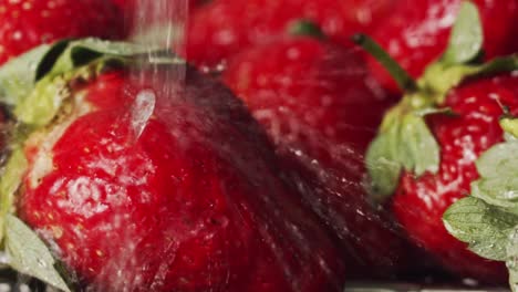 washing strawberries tap water splashing onto bright red