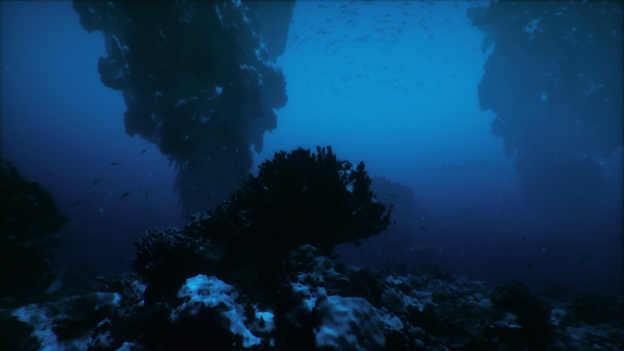 Exploring the vibrant underwater world filled with coral and marine life