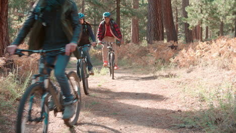 amigos montando bicicletas en un camino del bosque, vista frontal, ángulo bajo