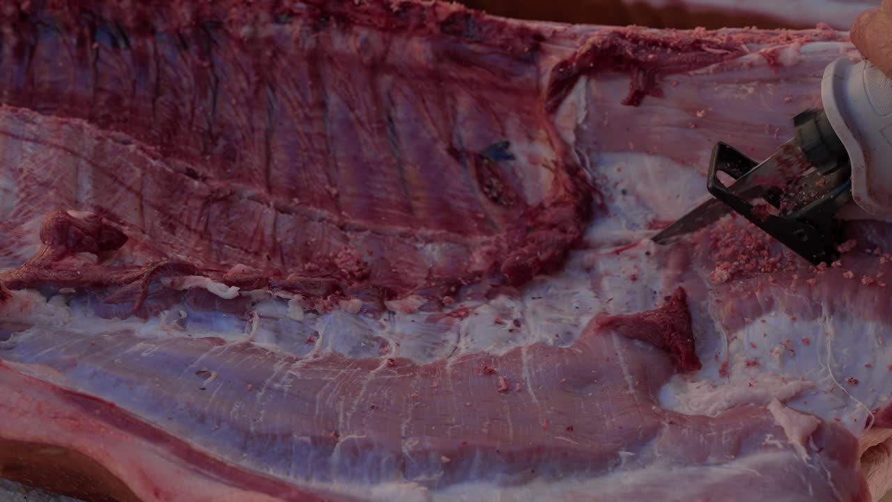 Cutting pork ribs with electric saw during traditional butchering in Portugal