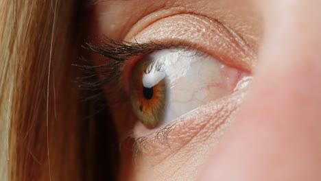 primer plano del ojo de una mujer.