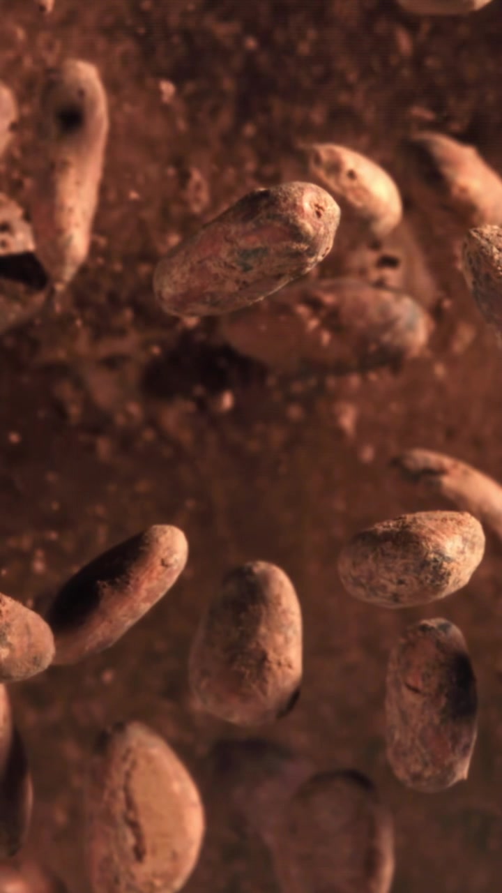 Granos de cacao crudo flotando y girando en cámara lenta