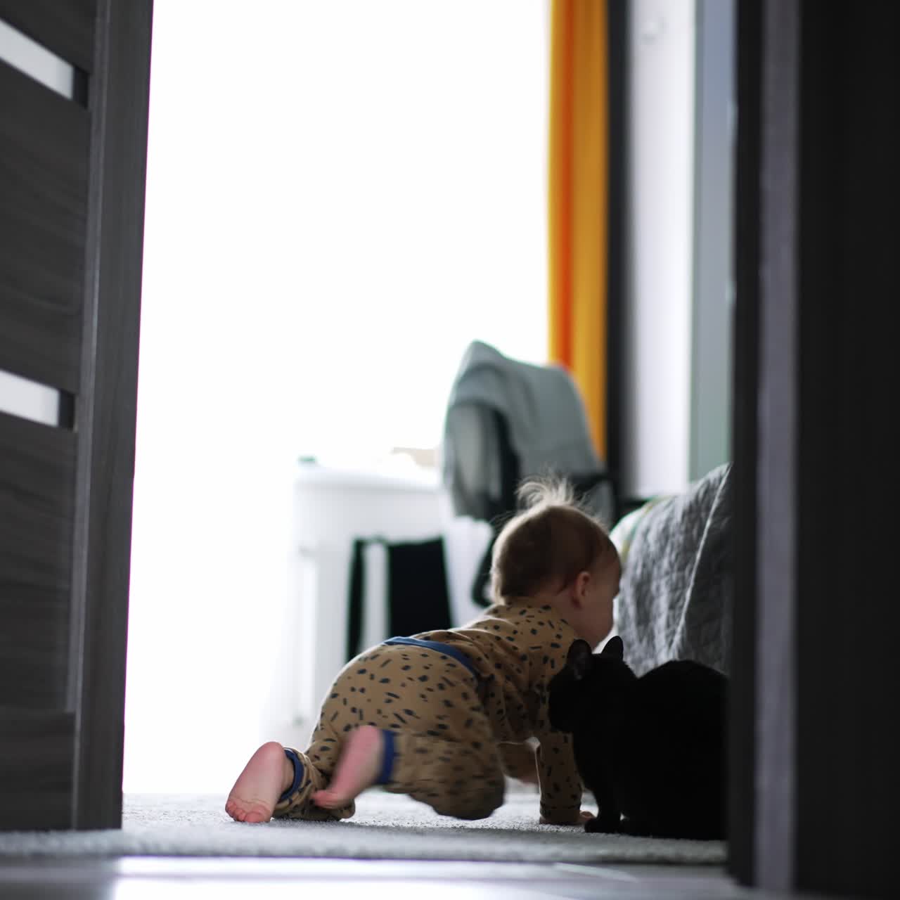 Little baby opens the door to another room and enters there. Lovely boy crawling past cat and wants to climb a bed