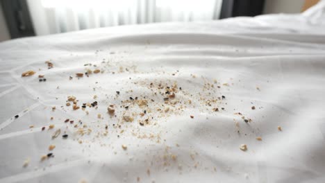 migas de pan en la sábana blanca de la cama