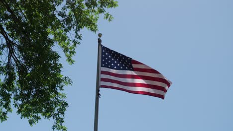 an american flag waving in the wind with a tree branch also in frame