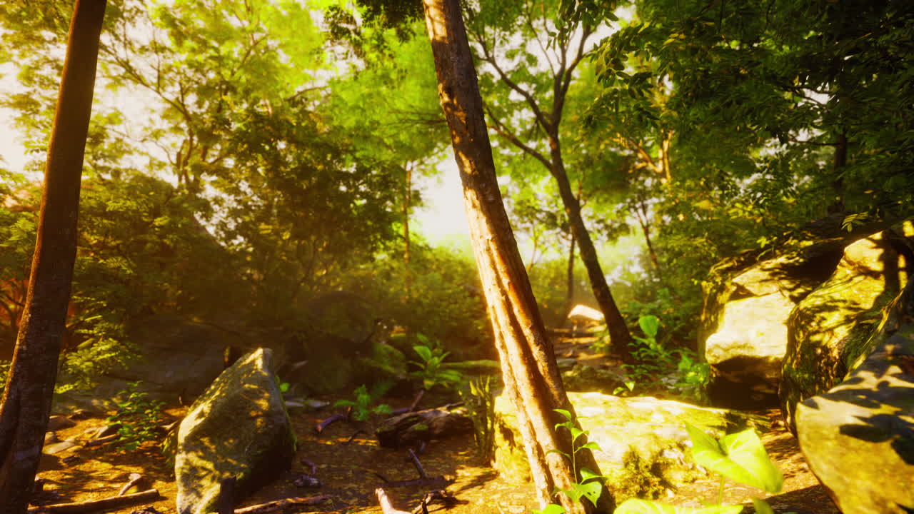 las profundas selvas tropicales de asia