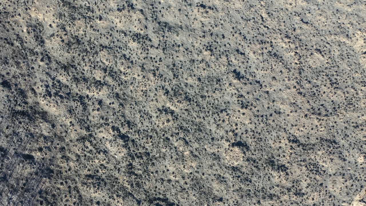 vista aérea de tierras forestales quemadas después de un incendio