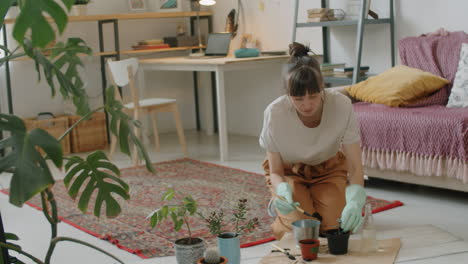 mujer repotting planta de interior en la sala de estar