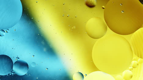 real close up oil bubbles in water rotation with color gradient abstract mixing background