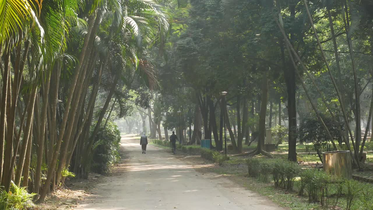 아침에 공원 길