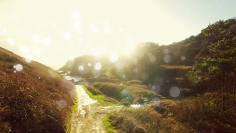 white bokeh lights in the hill side