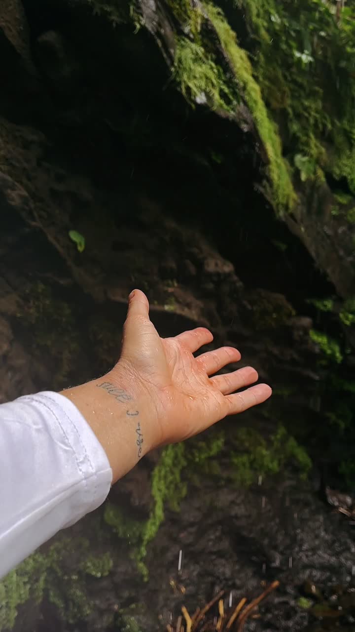 la mano alcanzando la lluvia en un bosque