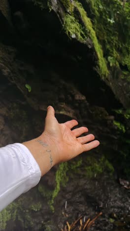 hand reaching into the rain in a forest