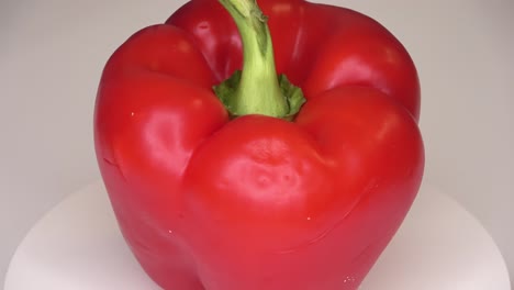 loopable 4k footage of a single bell pepper spinning against a white background.