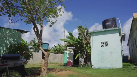 antigua casa caribeña con palmeras en la región costera