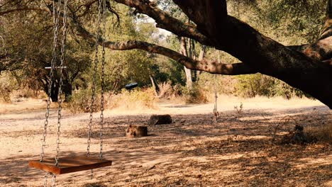 Empty-Children's-Swing-Swinging-From-Creepy-Old-Oak-Tree-Horror