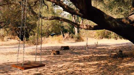empty children's swing swinging from creepy old oak tree horror
