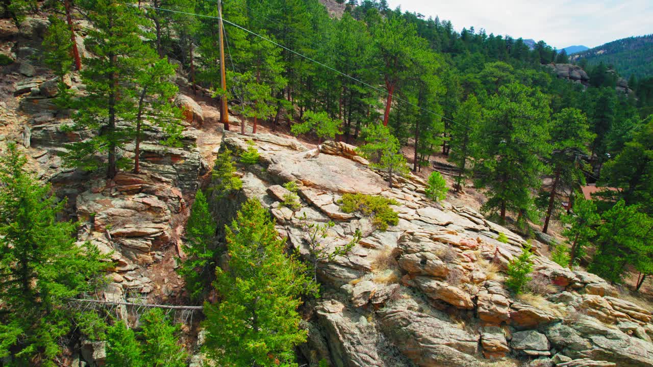 toma aérea de una cabra montesa situada en la cima de un acantilado rocoso rodeado de exuberantes pinos verdes cerca de estes colorado, ee.uu.