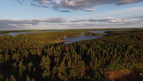 aerial of a lake and forest in sweden